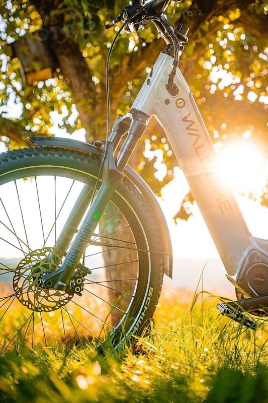 A bicycle stands in the grass, illuminated by sunbeams under a tree, e-bike, forest bike, Calw, district of Calw, Black Forest, Germany