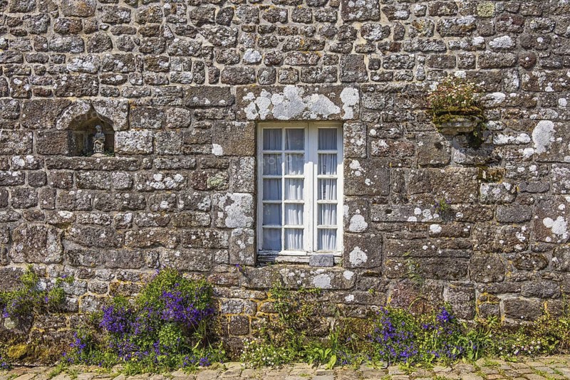 Window on an old stone house in a alley with flowering flowers on the wall a sunny summer day, Locronan, Bretagne, France