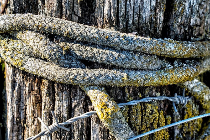 Old rope is wrapped around a fence post