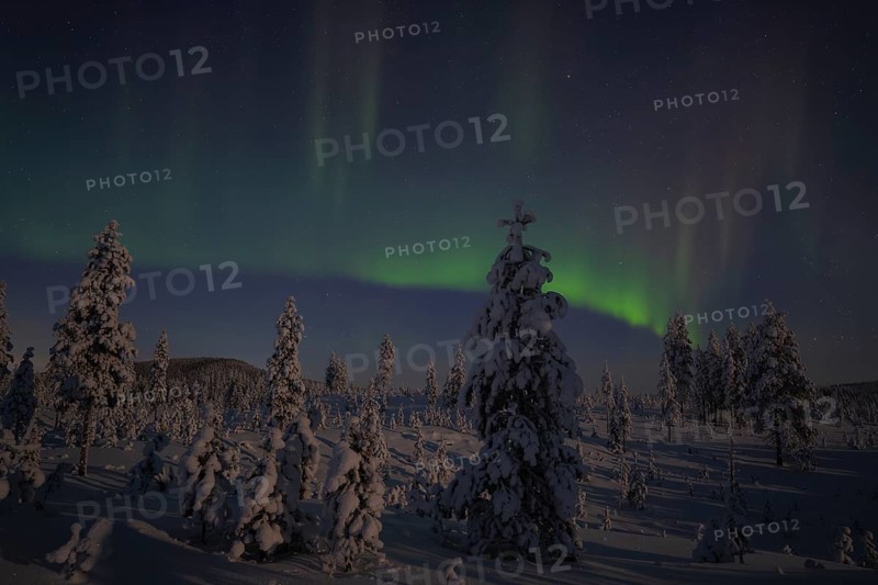 Northern Lights (Aurora borealis) over moonlit winter landscape, Nattavaara, Norrbotten, Lapland, Sweden, November 2023