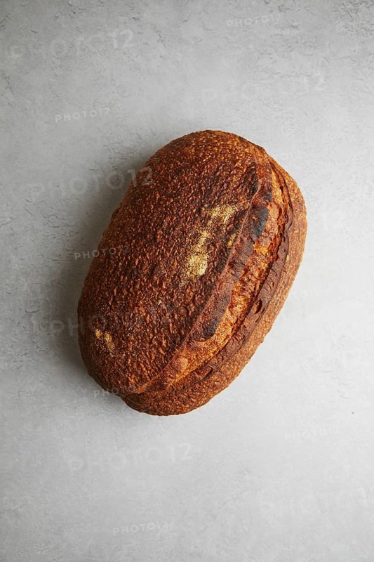 Top view of a freshly baked sourdough bread with a crispy crust and golden hue, perfectly textured and resting on a textured grey background