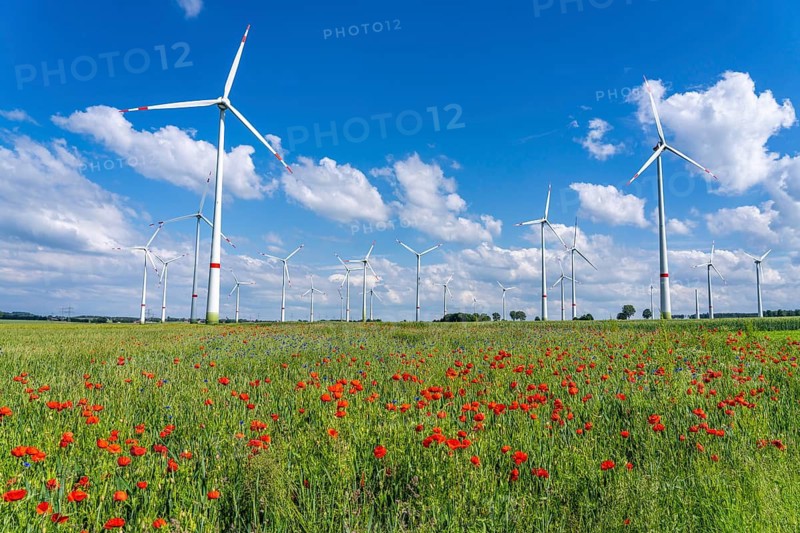 Wind farm, field with flower strips, insect-friendly border of fields with mixed flowers, poppies, north of Marsberg, Hochsauerlandkreis, North Rhine-Westphalia, Germany