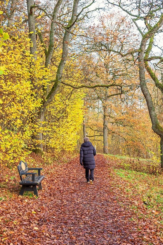 Woman walks along a leaf covered forest path lined with autumn trees. A wooden bench sits beside the trail adding to the serene seasonal atmosphere