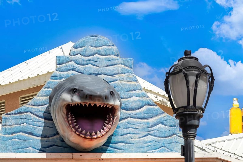 Saint Kitts and Nevis, Basseterre colorful colonial architecture in historic city center