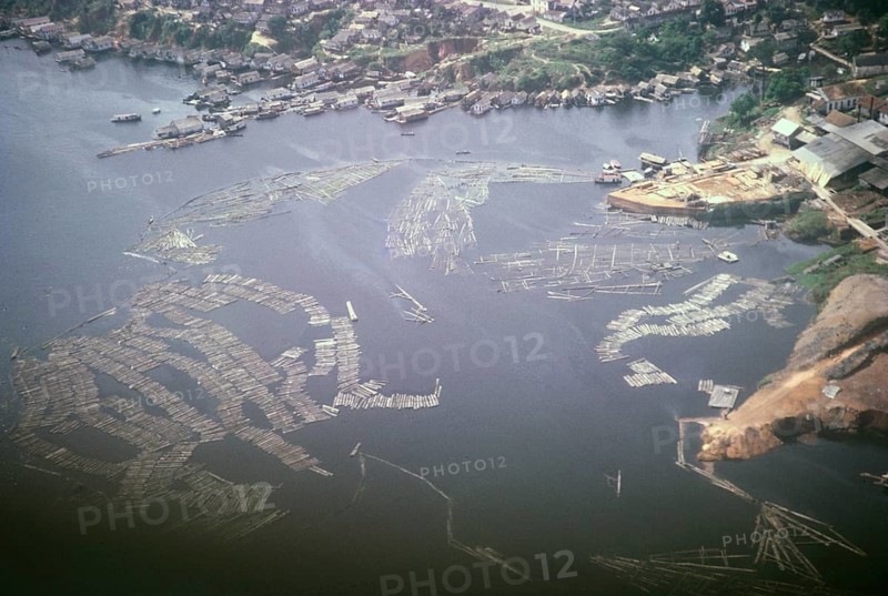 Oblique aerial view of tree trunks floating on the Rio Negro and the city of Manaus, Brazil 1962