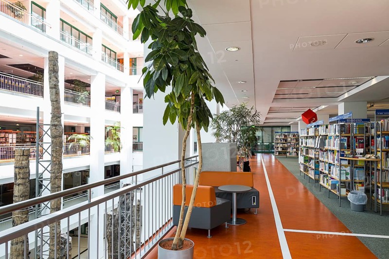 Modern city library and foyer with Steinerner Wald exhibition in the DAStietz cultural department stores', Chemnitz, Saxony, Germany