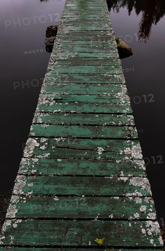 Weathered footbridge at a fish pond, Gmünd, Waldviertel, Lower Austria, Austria