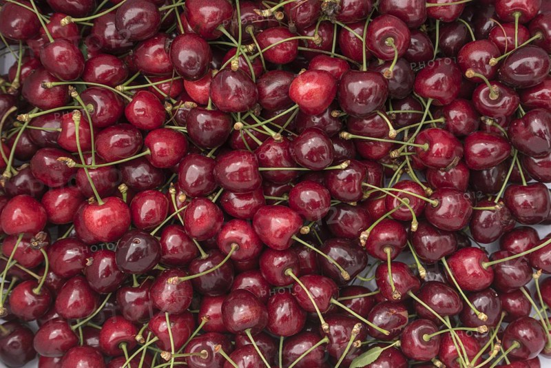 Fresh wild cherries (Prunus avium), Bavaria, Germany