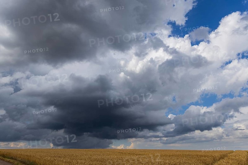 Rain clouds near Börnche in the Ore Mountains, Börnchen, Saxony, Germany