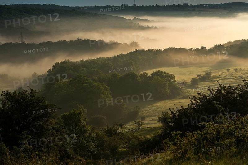 Germany, Nabu, natural heritage, Thuringia, wind knobs, cultivated landscape, haze, cultural landscape, landscape, nature reserve, nature reserve, fog, sunrise, sunrise