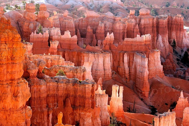 Geography, Bryce Canyon NP, Utah, USA, National Park, Erosion, Sandstone, Bryce Canyon NP, UTAH, USA