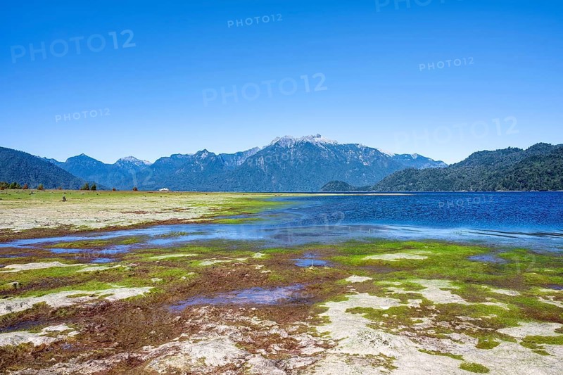 Shores of Lake Chapo, Los Lagos, Patagonia Verde, Chile