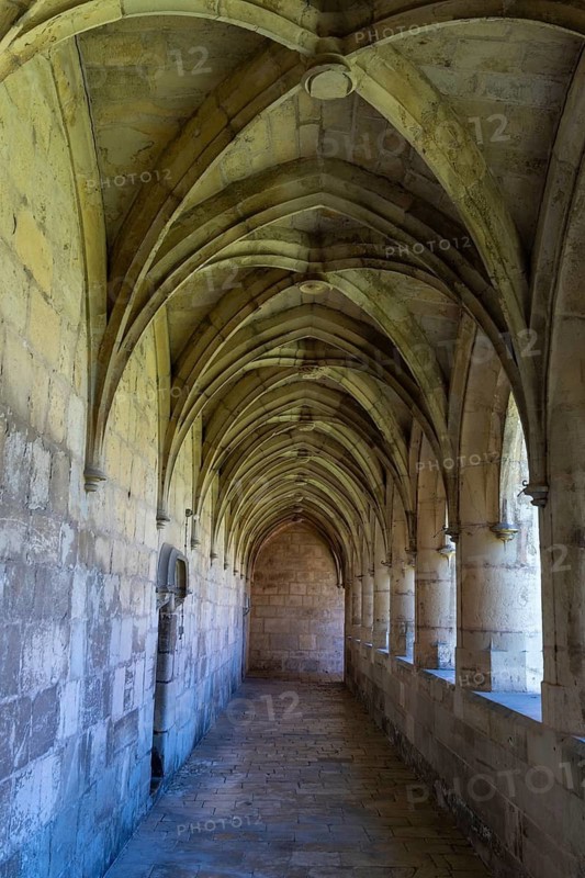 Villefranche de Rouergue. City of Art and History. The Chartreuse Saint Sauveur. The Great Cloister, Aveyron. Occitanie. France