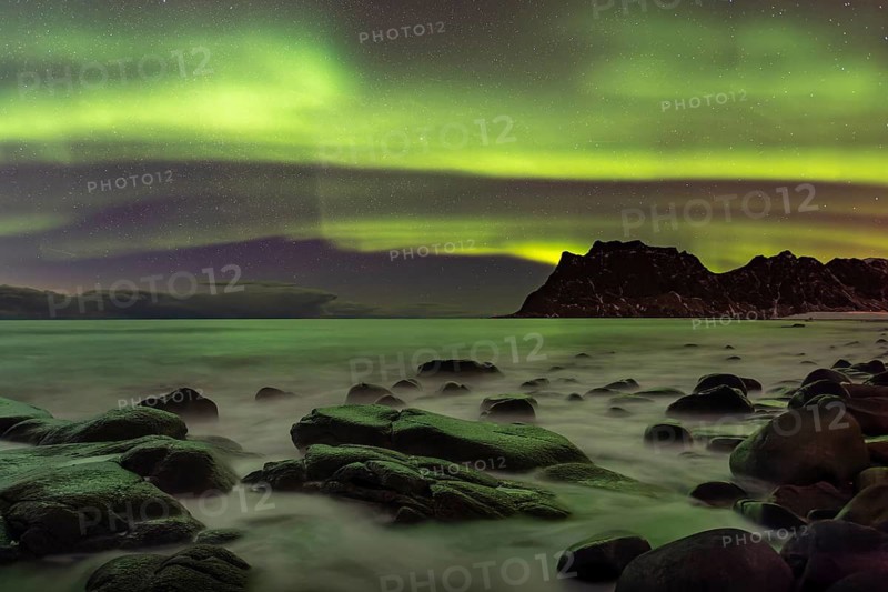 Aurora over the mountains and sea of Lofoten, Northern Lights, Northern Lights, Landscape, Leknes, Nordland/Lofoten, Norway