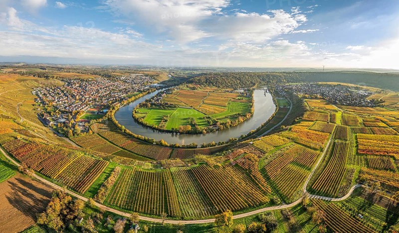 Aerial drone view of the river loop in the Neckar Valley with its famous steep vineyards next to Mundelsheim and Hessigheim in Baden-Wuerttemberg, Germany