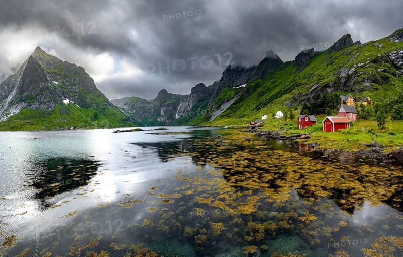Red wooden houses on the shore in green fjord landscape with mountains and dramatic clouds, Vindstad, Reinefjord, Lofoten, Norway