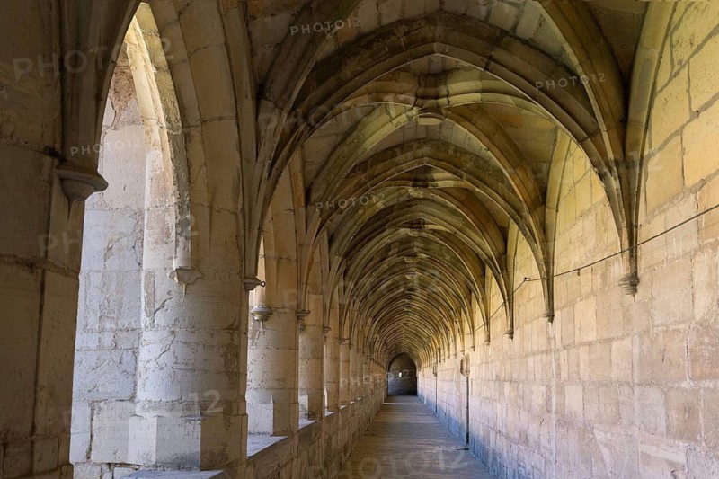 Villefranche de Rouergue. City of Art and History. The Chartreuse Saint Sauveur. The Great Cloister, Aveyron. Occitanie. France
