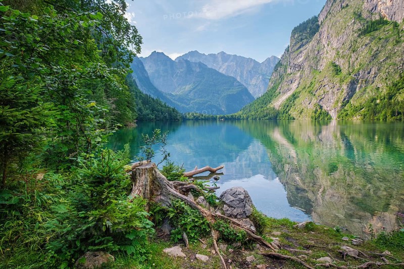 Obersee mountain lake Alps Bavaria Germany with forest shore, turquoise water, rugged peaks, and a weathered stump beside the calm alpine lakeside