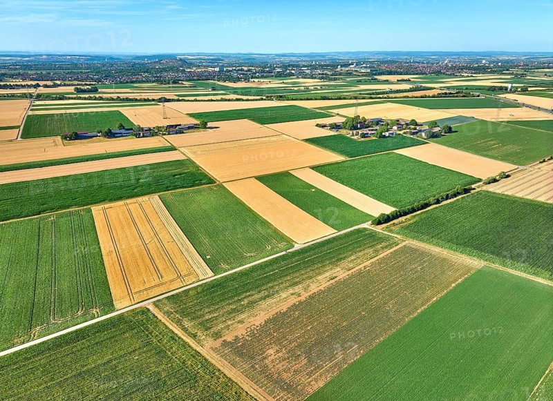 Aerial view of geometric grain and corn fields forming a colorful agricultural landscape with fertile farmland and rural patterns in summer. Langes Feld, north of Stuttgart, Baden-Württemberg, Germany