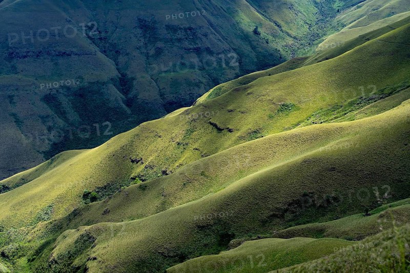 Detail, light and shadow, green meadows and mountain valley, mountain landscape of the Cathedral range, Drakensberg Mountains, KwaZulu-Natal, South Africa