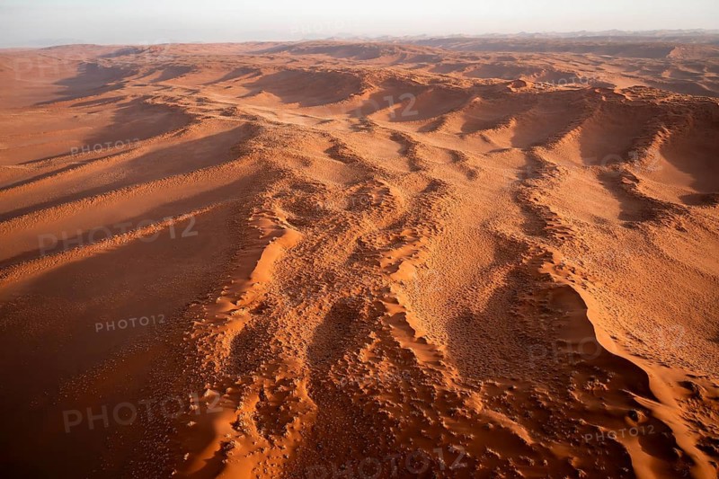 Aerial view, sand dunes with vegetation in the Namib Desert, Namib Naukluft Park, Namibia