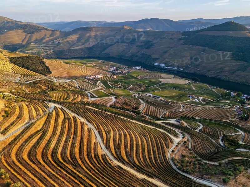 Warm light illuminates terraced vineyards above the Douro River in Portugal, captured from above with detailed agricultural textures and layered hills