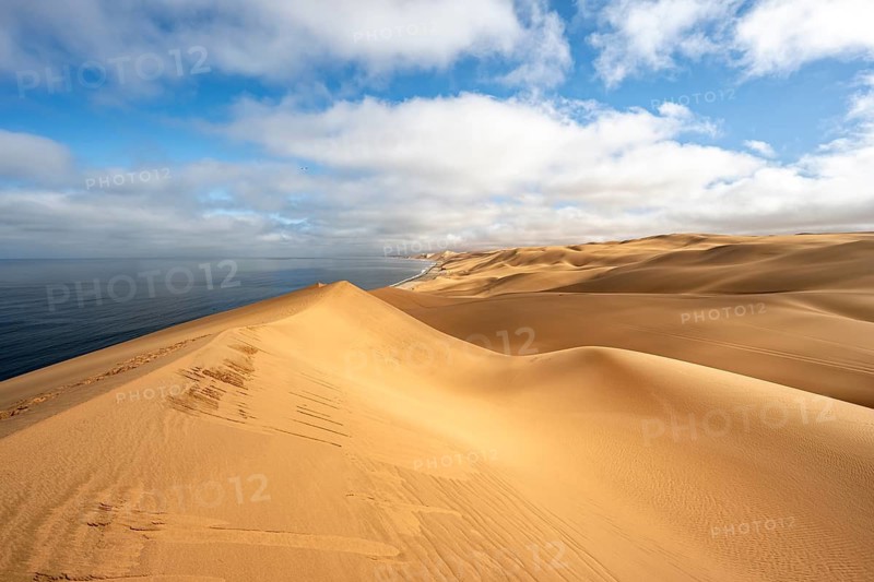 Sand dunes and sea, Atlantic coast and sandy desert with sea of dunes, Sandwich Harbour, Namib Naukluft Park, Namib Desert, Namibia