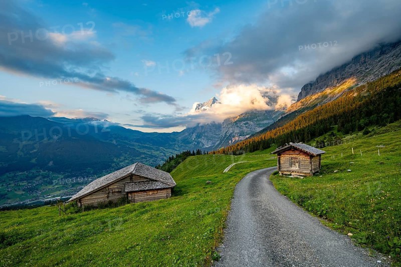 Road, alpine huts and alpine meadows, mountain landscape at sunset, summit of the Wetterhorn in the background, Alpiglen, Grindelwald, Bernese Oberland, Switzerland