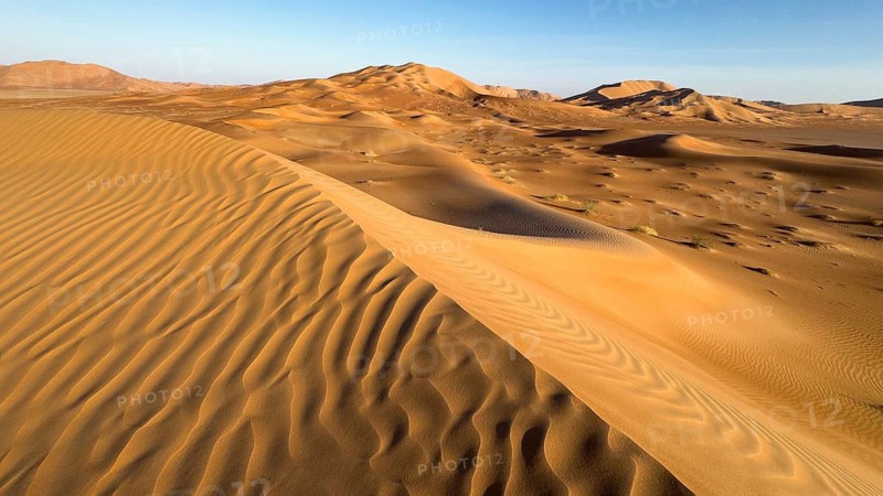 Sand dunes in the Rhub al Khali desert, empty quarter, largest sandy desert in the world, Oman