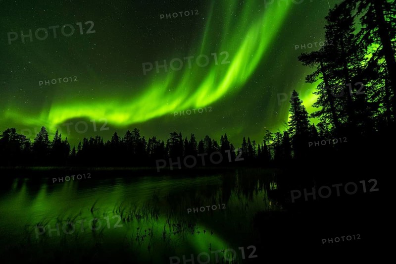 Northern Lights (Aurora borealis) reflected in a forest lake, Muddus National Park, Laponia World Heritage Site, Norrbotten, Lapland, Sweden, September 2020