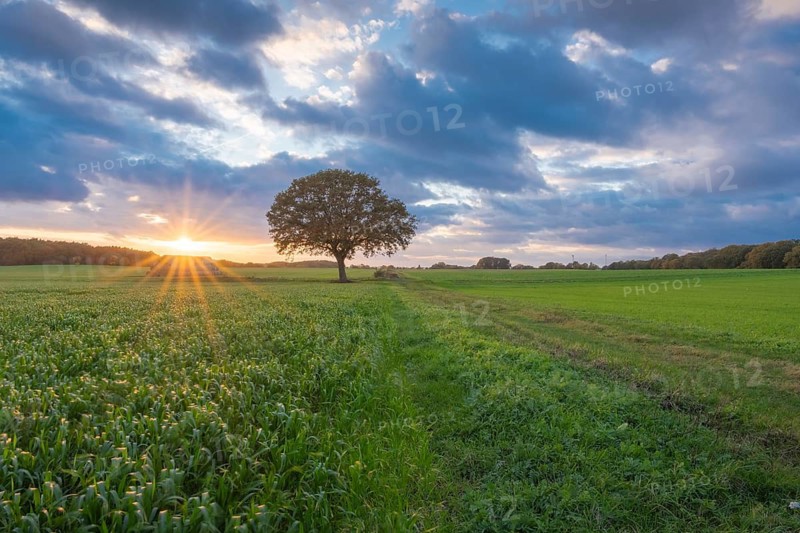 Husum, Nienburg, Lower Saxony, Germany