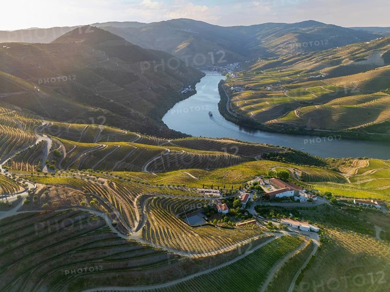 Tour boat passes through the Douro River below terraced vineyards and estates in Portugal's Douro Valley at sunset