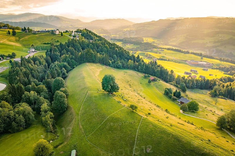 Hilly landscape with forest and meadows under the delicate light of dusk, Oberstaufen region, Allgäu, Bavaria, Germany