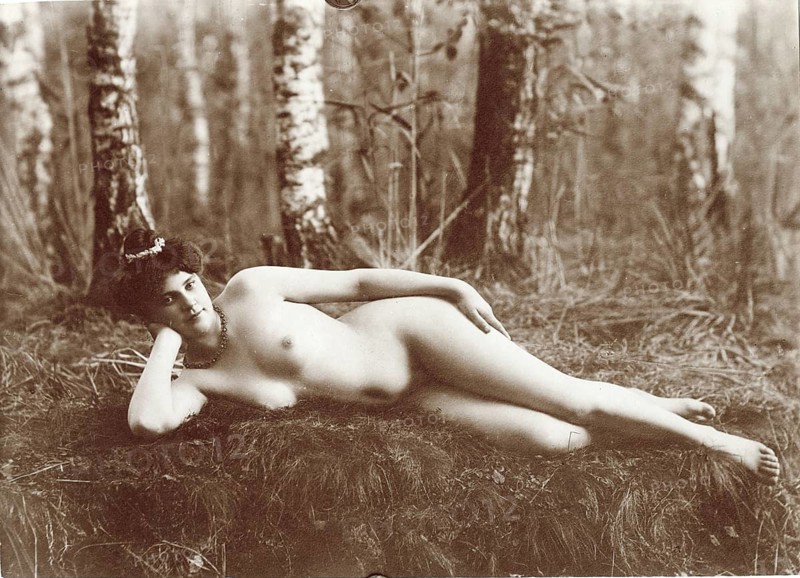 Nudism, Life Reform, Nude, Nature, Art Nouveau, Unclothed Woman Lying Relaxing in the Forest on the Grass Among Birches, Richard Ungewitter, around 1910