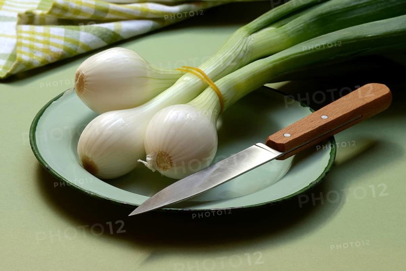Spring onion with knife on plate, Allium cepa
