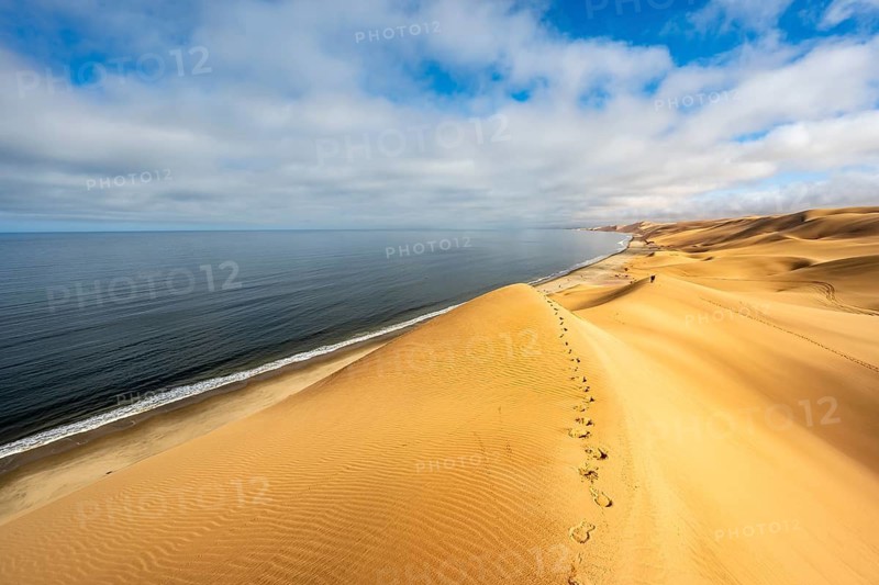 Sand dunes and sea in morning light, Atlantic coast and Namib desert, impressive desert landscape, Sandwich Harbour, Namib Naukluft Park, Namibia