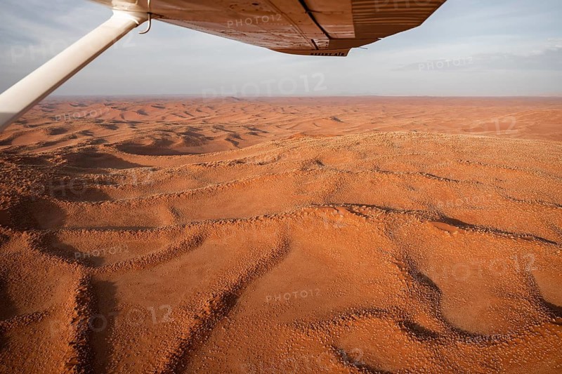 Aerial view from the plane, red sand dunes of the Namib Desert, Namib Naukluft Park, Namibia