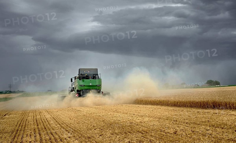 Combine harvester harvesting wheat on a field in the vertile and fruitful of Langes Feld north of Stuttgart, Baden-Württmberg, Germany