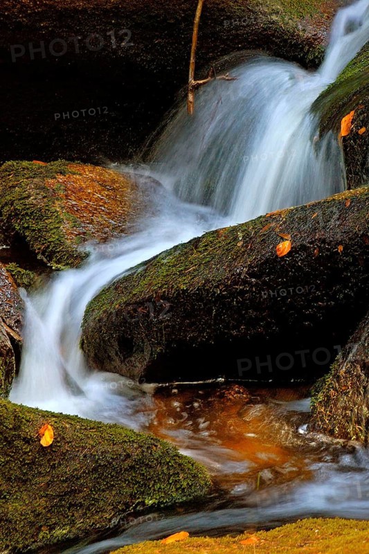 Riparian forest, autumn forest, Bavarian Forest, Bach, Bergbach, Germany, Germany
