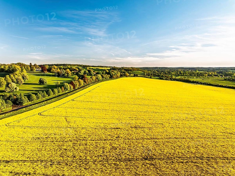 Rapeseed Fields and Farms over Horsebridge nad Stockbridge from a drone, Hampshire, England, United Kingdom