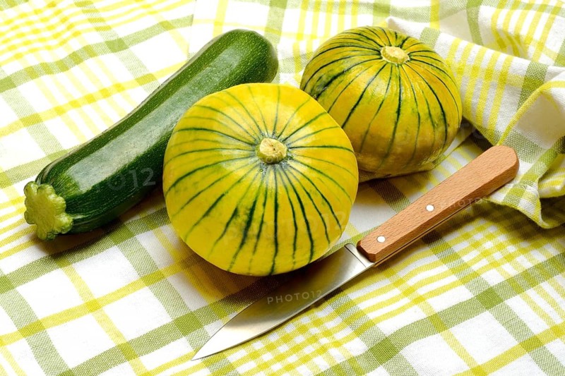 Zucchiolo and zucchini, zucchiolo is a cross between zucchini and cucumber, novelty