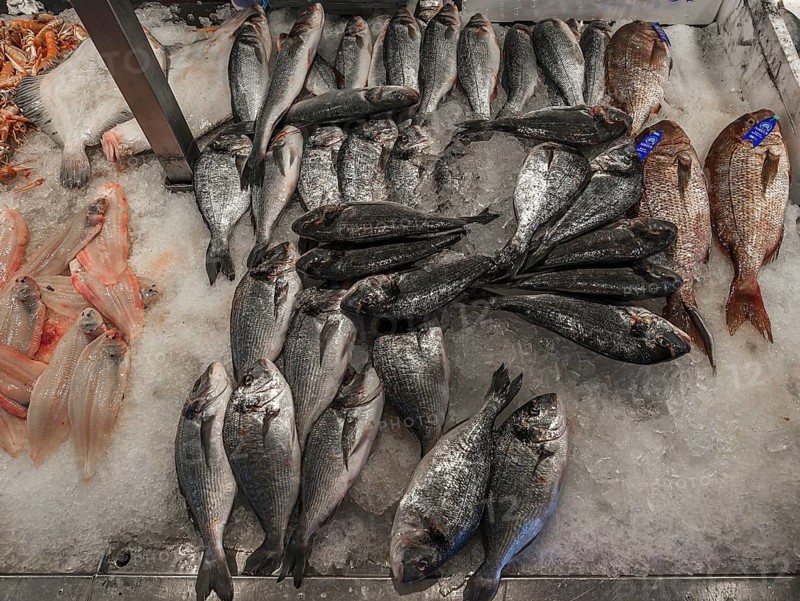 Fresh gilthead seabream (Dorade), sole (Solea solea) and sea bass (Moronidae) on ice, fish market, Enschede, Netherlands