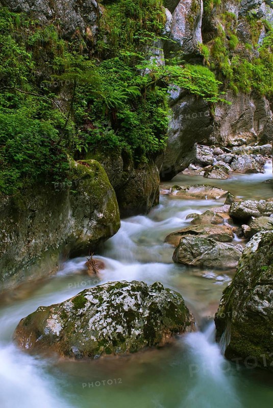 Seisenberg Gorge in Weissbach near Lofer, Weissbach, Lofer, Salzburg, Austria