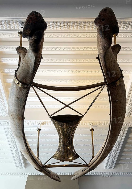 Whale bones under the ceiling as a lamp in the New Bremen Town Hall, UNESCO World Heritage Site, Free Hanseatic City of Bremen, Germany