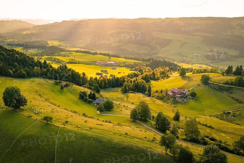 Hilly landscape with farmhouses and trees under the warm light of dusk, Oberstaufen region, Allgäu, Bavaria, Germany