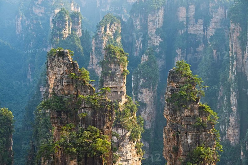 Panoramic view of the quartz sandstone pillars of the Tianzi Mountains in Zhangjiajie National Park, Avatar Mountains, Halleluja Mountains, Wulingyuan, Yuanjiajie, Hunan Province, China