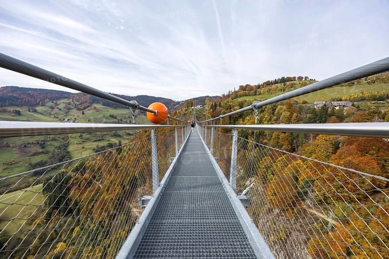 Blackforestline suspension bridge at Todtnau Waterfall in the Black Forest in autumn in Todtnau, Germany