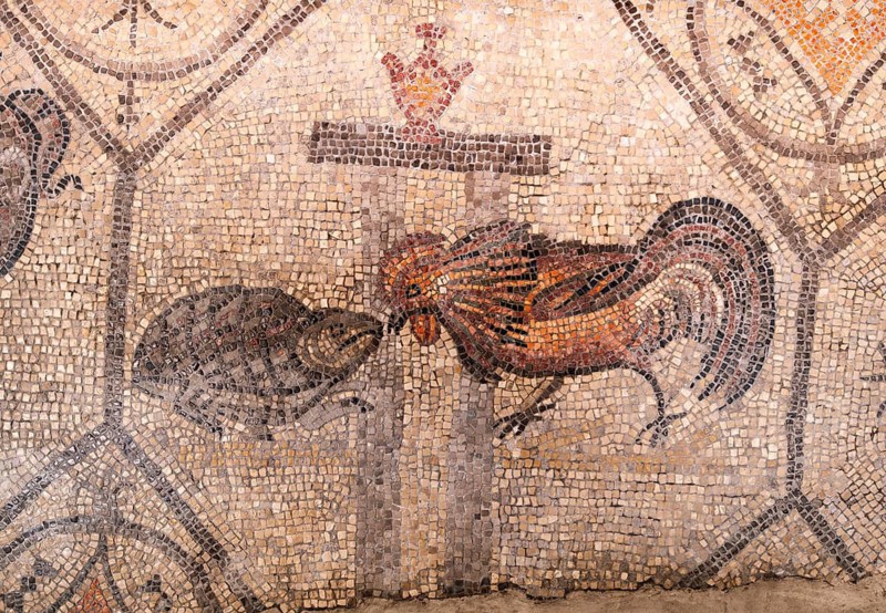 Mosaic with geometric pattern and depiction of rooster and turtle, North Hall, Basilica di Santa Maria Assunta, Basilica of Aquileia with historic floor mosaic, UNESCO World Heritage Site, Aquileia, Friuli, Italy