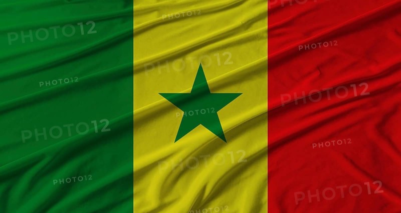 Senegal flag waving. Flag of Senegal with cloth texture