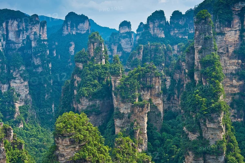 Panoramic view of the quartz sandstone pillars of the Tianzi Mountains in Zhangjiajie National Park, Avatar Mountains, Halleluja Mountains, Wulingyuan, Yuanjiajie, Hunan Province, China